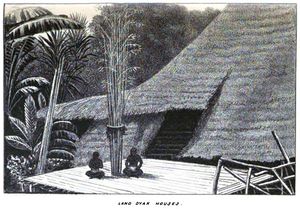 Land Dyak Houses 2.jpg