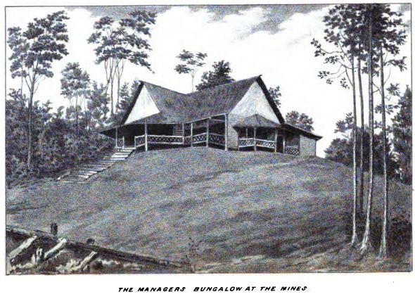 File:The Managers Bungalow at the Mines.jpg
