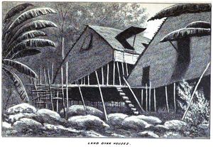 Land Dyak Houses.jpg